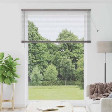 Tenda Veneziana Argento 220 x 160 cm 25 mm Alluminio