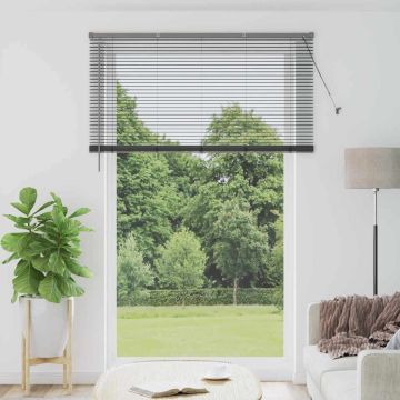 Tenda Veneziana Grigio Scuro 220 x 140 cm 25 mm Alluminio