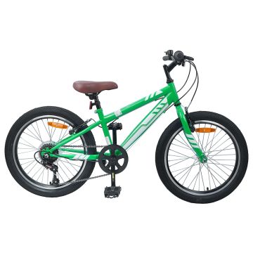 Mountain Bike 20 Pollici 6-Velocità per 5-8 anni Verde