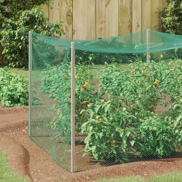 Rete di Protezione per Uccelli Verde 2 x 10 m Polietilene