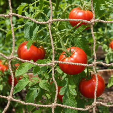 Rete di supporto per piante in juta Naturale 1 x 5 m