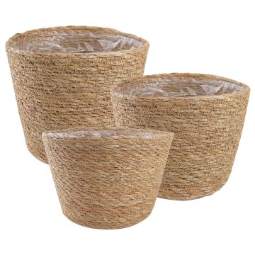 3 pz Naturale Ø26 x 19 cm 100% Erba marina