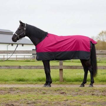 Coperta per Cavalli Rosa e Nero 75 cm Poliestere