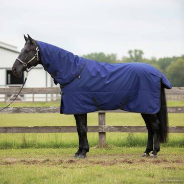 Coperta per Cavalli Blu Navy Completo 85 cm Poliestere