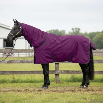 Coperta per Cavalli Viola Completo 75 cm Poliestere