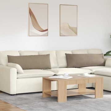 Cuscini da Divano 2 pz Tessuto Talpa 120 x 40 cm