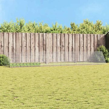 Gabbia per Conigli Argento 650 x 100 x 85 cm Acciaio zincato