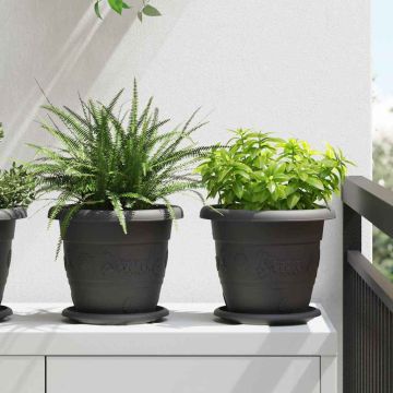 Vassoio Rotondo per Fiori 6 pz Nero Ø 17,5 x 2 cm Plastica