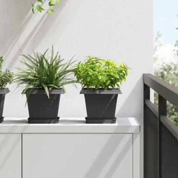 Vaso quadrato per fiori 6 pz Nero 20 x 20 x 16 cm Plastica
