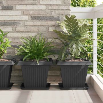 Vassoio Quadrato per Fiori 24 pz Nero 32 x 32 x 2,5 cm Plastica