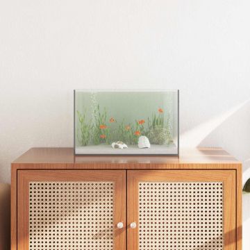 Acquario con archiviazione Trasparente 40 x 25 x 25 cm Vetro