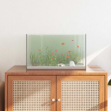 Acquario con archiviazione Trasparente 50 x 30 x 30 cm Vetro
