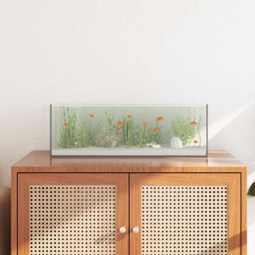 Acquario con archiviazione Trasparente 60 x 20 x 20 cm Vetro