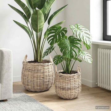 Cestino per piante GENDT 2 pz Grigio naturale Rattan Kubu