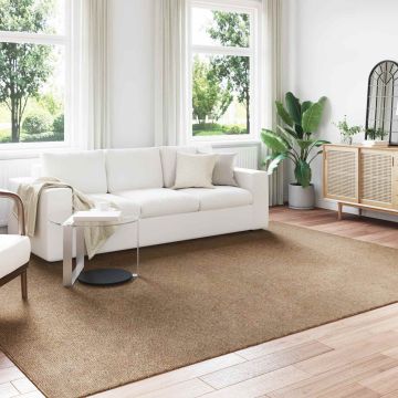Tappeto per uso interno ed esterno AGIRA Naturale 280 x 200 cm