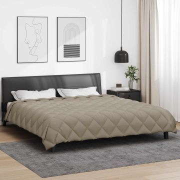 Piumone Invernale 200 x 220 cm 450 gsm Grigio Chiaro