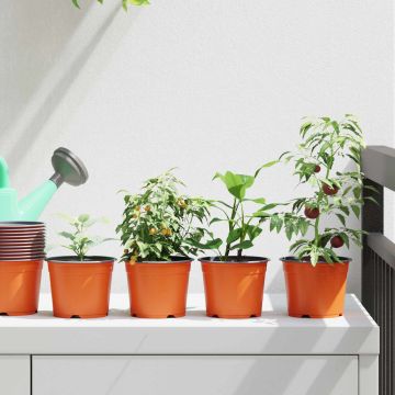 Vaso Rotondo per Fiori 200 pz Terracotta Ø 10 x 8 cm Plastica