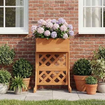 Trellis da Giardino Verticale Arancione 48 x 30 x 70,5 cm