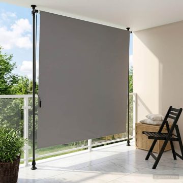 Tenda a Rullo Esterna Grigio Chiaro 120 x 270 cm