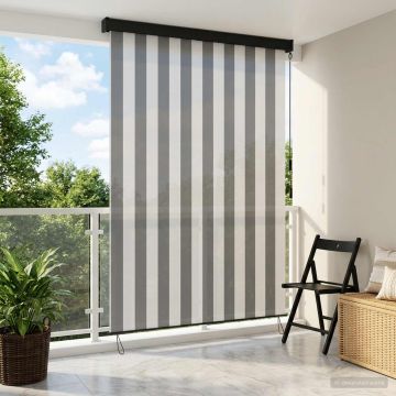 Tenda a rullo Antracite e Bianco 100 x 250 cm