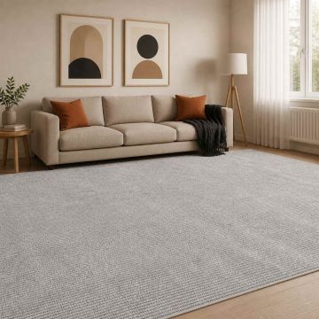 Tappeto Grigio 300 x 400 cm 100% Poliestere 3 mm Lavabile