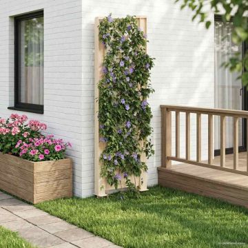 Trellis con Punta PP Bianco