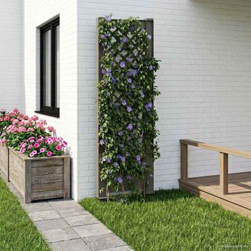 Trellis con Punta PP Grigio