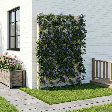 Trellis con Punta PP Bianco