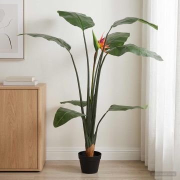 Pianta Artificiale Strelitzia Verde 70 x 18 x 155 cm