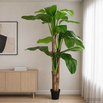 Albero di Banana Artificiale Verde 125 x 25 x 250 cm
