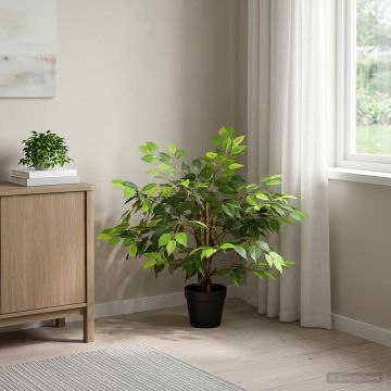 Pianta Ficus Artificiale Verde 73 x 16 x 60 cm Tessuto e Legno