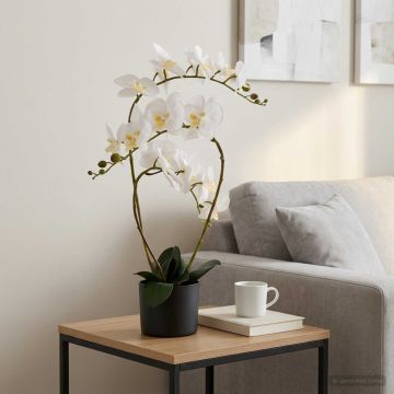 Pianta di Orchidea Artificiale con Vaso Bianco 45 x 15 x 65 cm
