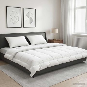 Piumone TRIER 200x240 cm 4 stagioni 220 GSM Bianco