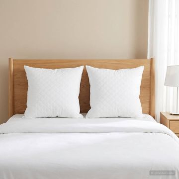 Cuscino FULDA 2 pz 65 x 65 cm 100% piuma d’oca e piumino Bianco