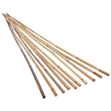 Pali di Bambù da Giardino 50 pz 150 cm