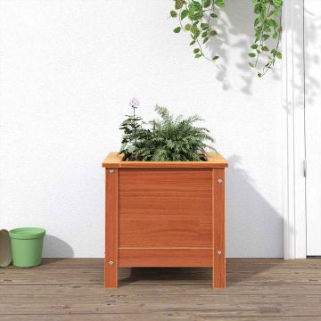 Vaso da giardino Marrone cerato 40 x 40 x 39 cm Pino massello