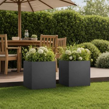Vaso da giardino 2 pz Nero 35 x 35 x 35 cm