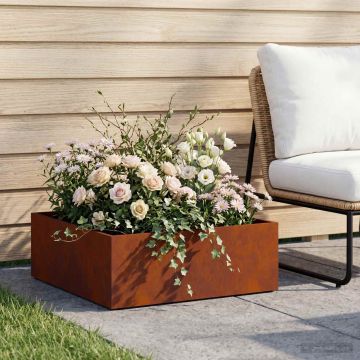 Vaso da giardino Ruggine 60 x 60 x 20 cm Acciaio Corten
