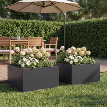 Vaso da giardino 2 pz Nero 60 x 60 x 30 cm