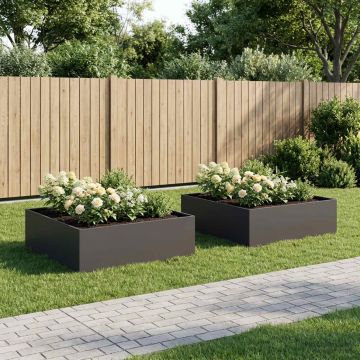 Vaso da giardino 2 pz Nero 100 x 100 x 30 cm