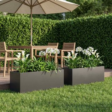Vaso da giardino 2 pz Nero 100 x 30 x 30 cm