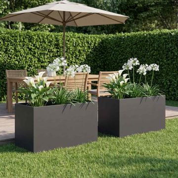 Vaso da giardino 2 pz Nero 80 x 50 x 50 cm