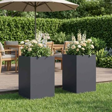 Vaso da giardino 2 pz Antracite 30 x 30 x 50 cm
