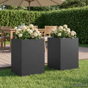 Vaso da giardino 2 pz Nero 50 x 50 x 75 cm
