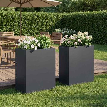 Vaso da giardino 2 pz Antracite 40 x 20 x 50 cm