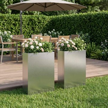 Vaso da giardino 2 pz Argento 40 x 20 x 75 cm Acciaio Inox