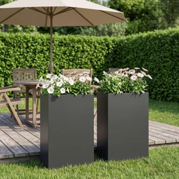 Vaso da giardino 2 pz Nero 50 x 20 x 75 cm