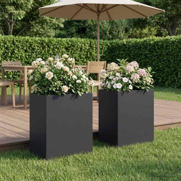 Vaso da giardino 2 pz Nero 40 x 30 x 50 cm