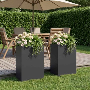 Vaso da giardino 2 pz Nero 40 x 30 x 75 cm