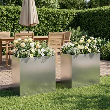 Vaso da giardino 2 pz Argento 50 x 30 x 40 cm Acciaio Inox